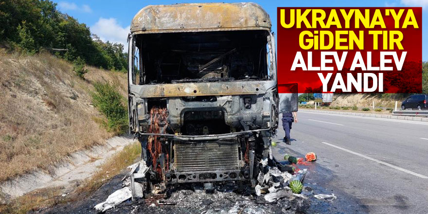 Ukrayna'ya giden karpuz yüklü tır alev alev yandı