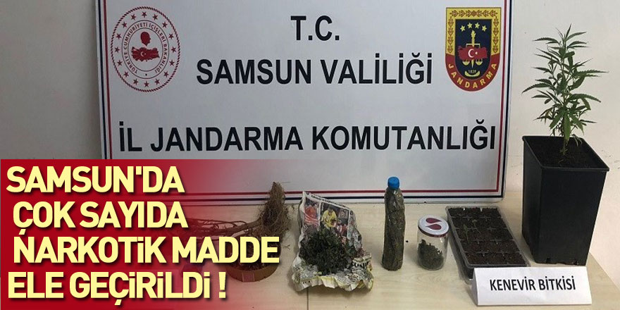 Samsun'da çok sayıda narkotik madde ele geçirildi