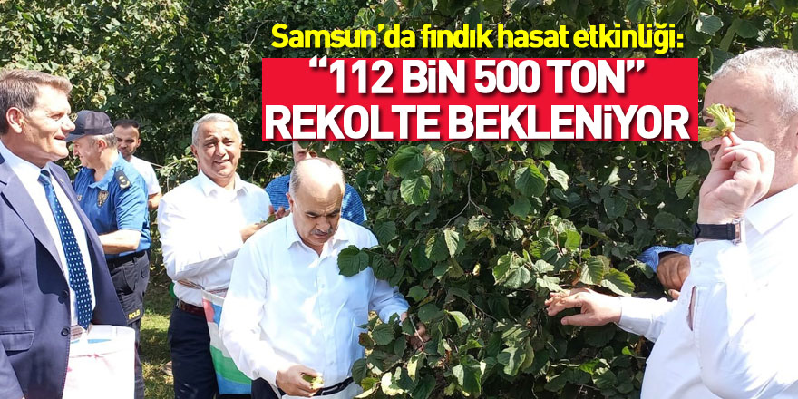 Samsun’da fındık hasat etkinliği: 112 bin 500 ton rekolte bekleniyor