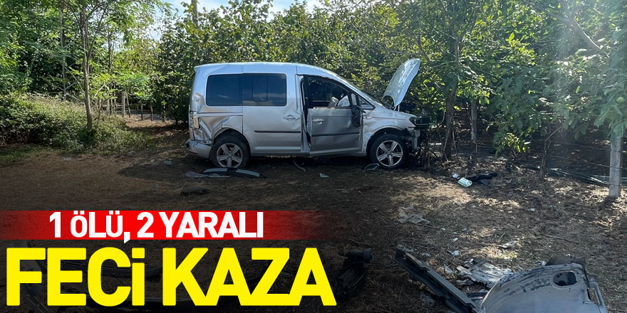 Feci Kaza: 1 ölü, 2 yaralı