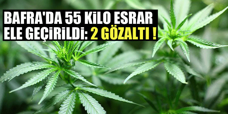 Bafra'da 55 kilo esrar ele geçirildi: 2 gözaltı