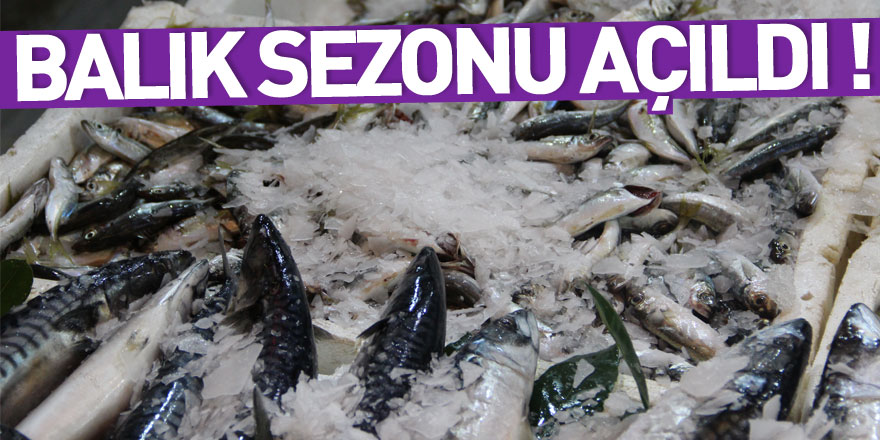 BALIK SEZONU AÇILDI !