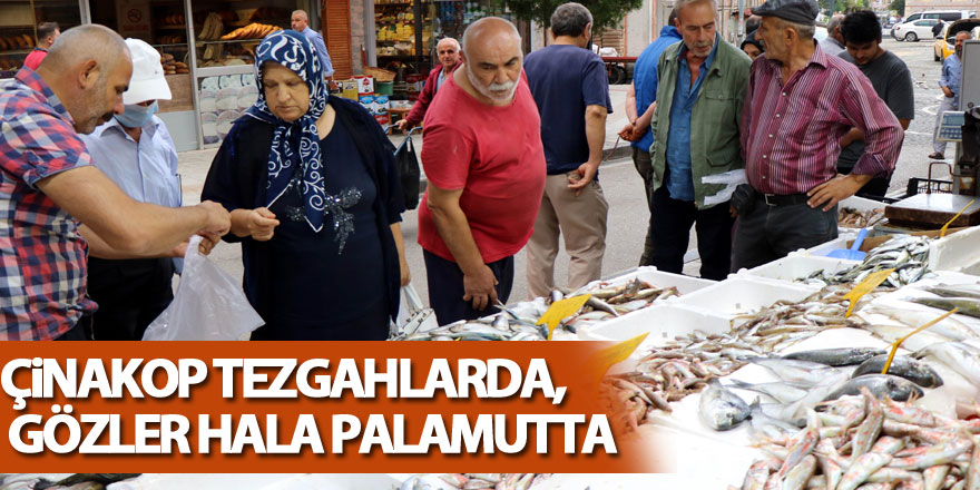 Çinakop tezgahlarda, gözler hala palamutta