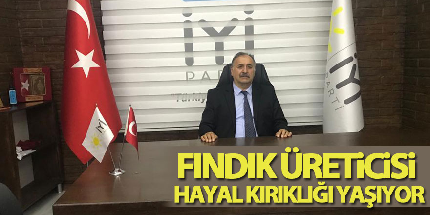 Fındık Üreticisi Hayal Kırıklığı Yaşıyor