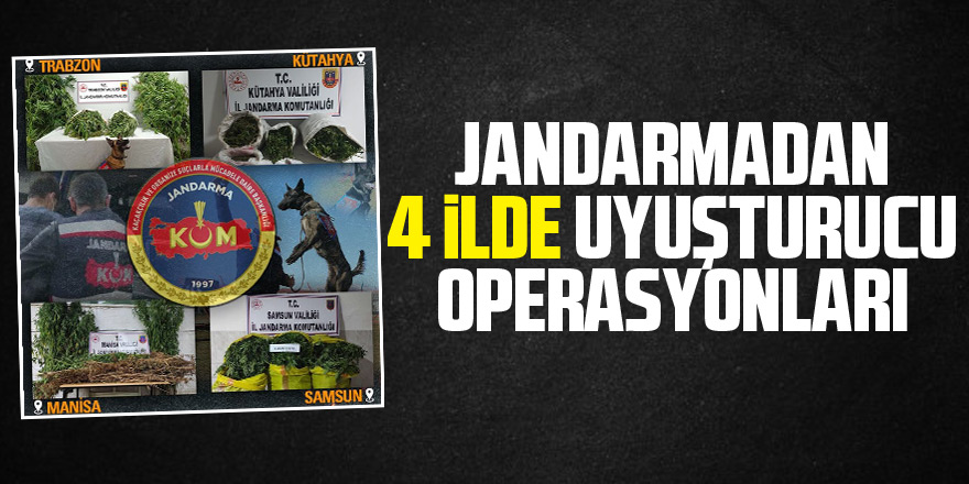 Jandarmadan 4 ilde uyuşturucu operasyonları