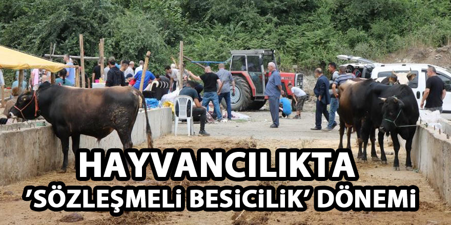 Hayvancılıkta ’Sözleşmeli Besicilik’ dönemi