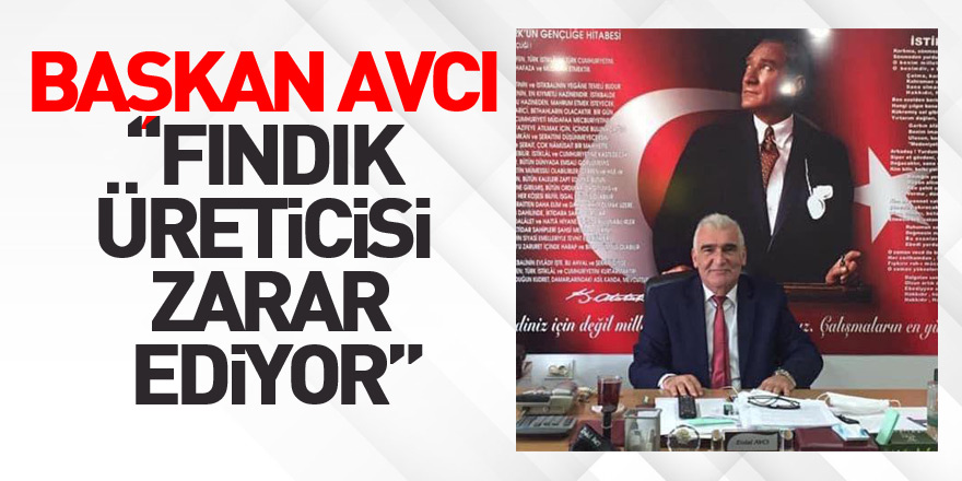 Başkan Avcı: “Fındık üreticisi zarar ediyor”