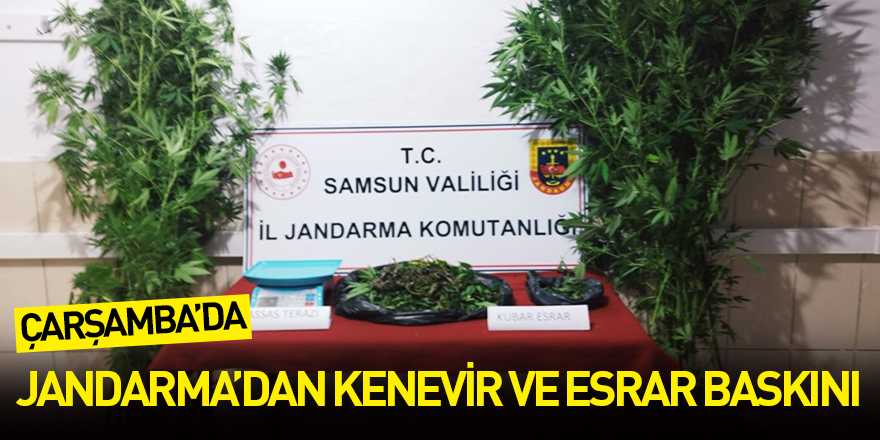 Kenevir ve esrar baskını: 1 gözaltı