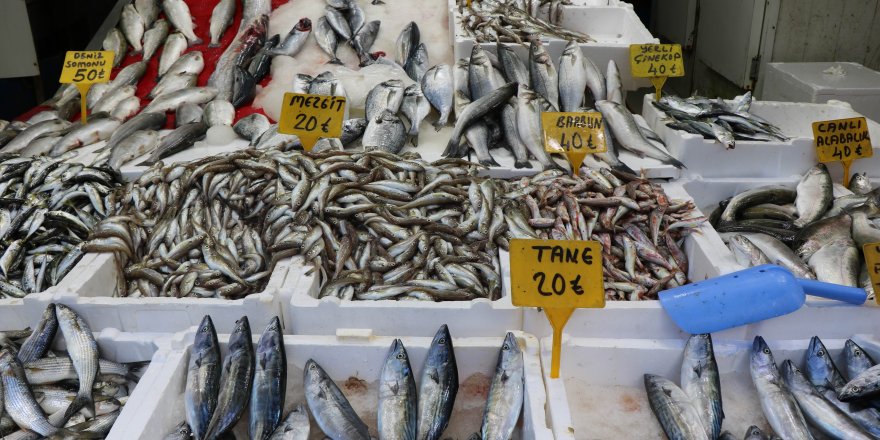 Şehir dışından Samsun'a gelen misafirler kasa kasa balıkla dönüyor