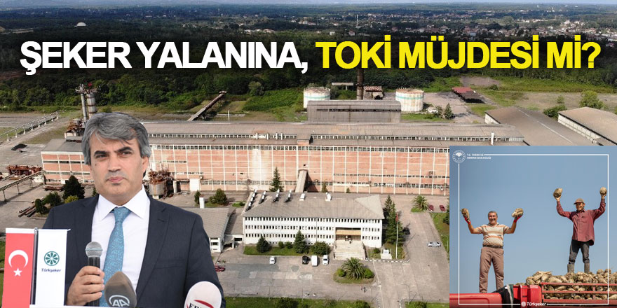 ŞEKER YALANINA, TOKİ MÜJDESİ Mİ?