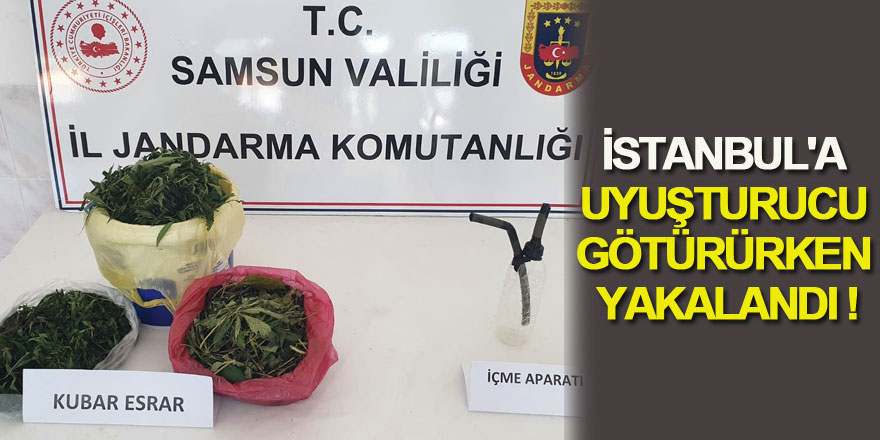 İstanbul'a uyuşturucu götürürken yakalandı