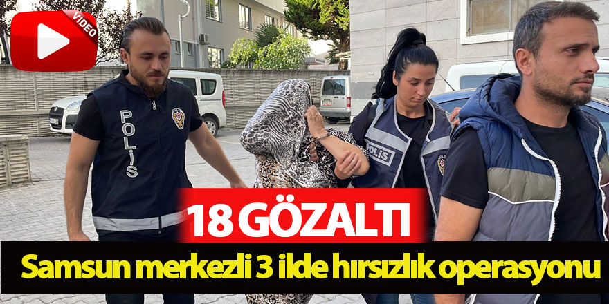 Samsun merkezli 3 ilde hırsızlık operasyonu: 18 gözaltı