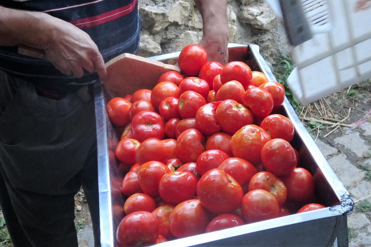 Domatesin fiyatı arttı, salça yapan azaldı