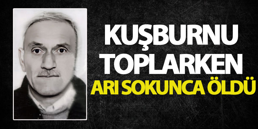 Kuşburnu toplarken arı sokunca öldü