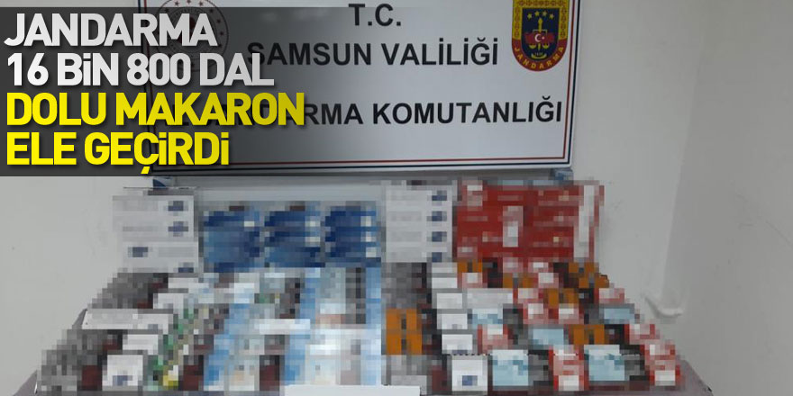 Samsun'da jandarma 16 bin 800 dal dolu makaron ele geçirdi