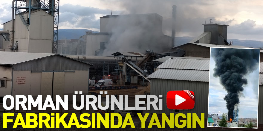 Samsun'da orman ürünleri işlenen fabrikada çıkan yangın hasara neden oldu