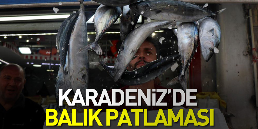 Karadeniz’de balık patlaması