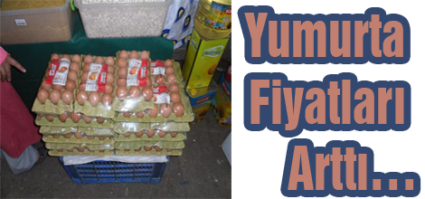 Yumurta Fiyatları Arttı…