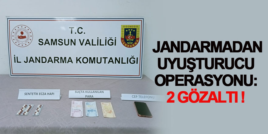 Jandarmadan uyuşturucu operasyonu: 2 gözaltı