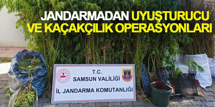 Jandarmadan uyuşturucu ve kaçakçılık operasyonları