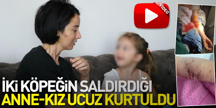 İki köpeğin saldırdığı anne-kız ucuz kurtuldu