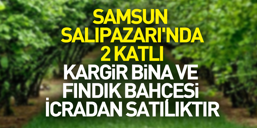 Samsun Salıpazarı'nda 2 katlı kargir bina ve fındık bahçesi icradan satılıktır