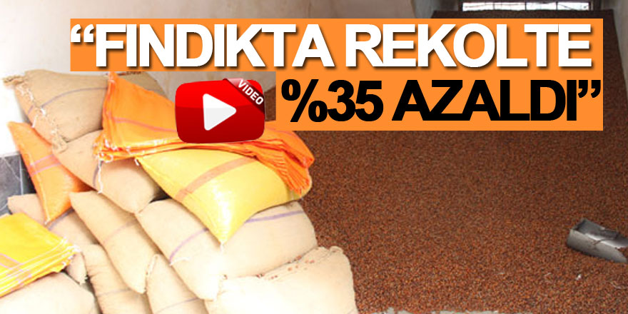 “Fındıkta Rekolte %35 Azaldı”