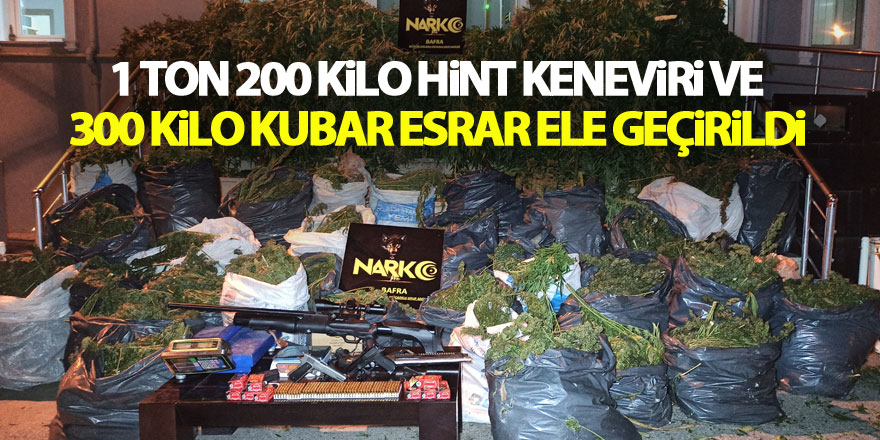 Bafra’da 1 ton 200 kilo Hint keneviri ve 300 kilo kubar esrar ele geçirildi