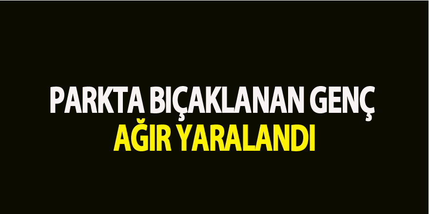 Parkta bıçaklanan genç ağır yaralandı