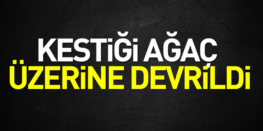 Kestiği Ağaç Üzerine Devrildi