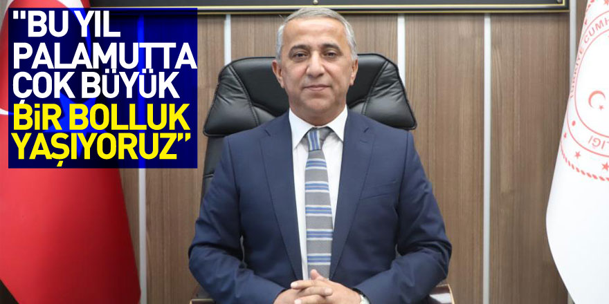 Müdür Sağlam: "Bu yıl palamutta çok büyük bir bolluk yaşıyoruz”