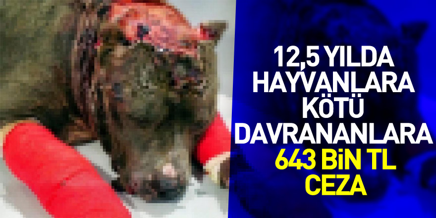 Son 12,5 yılda hayvanlara kötü davrananlara 643 bin TL ceza kesildi