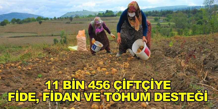 Samsun'da 11 bin 456 çiftçiye fide, fidan ve tohum desteği