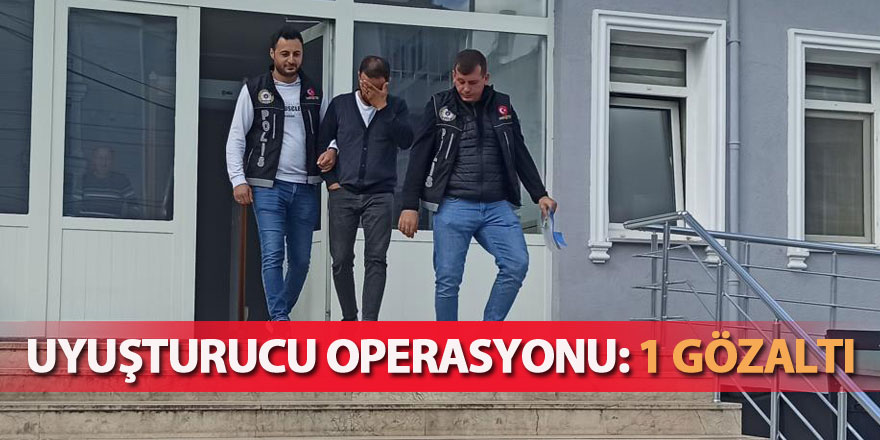 Uyuşturucu operasyonu: 1 gözaltı