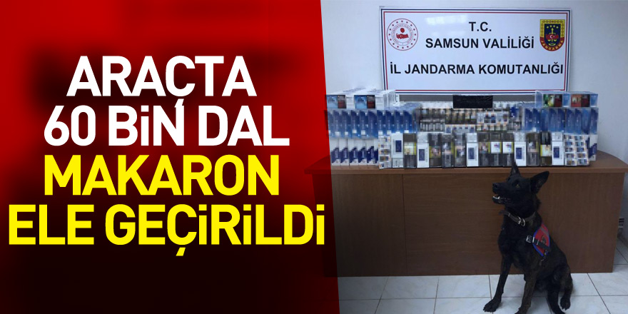 Samsun'da araçta 60 bin dal makaron ele geçirildi