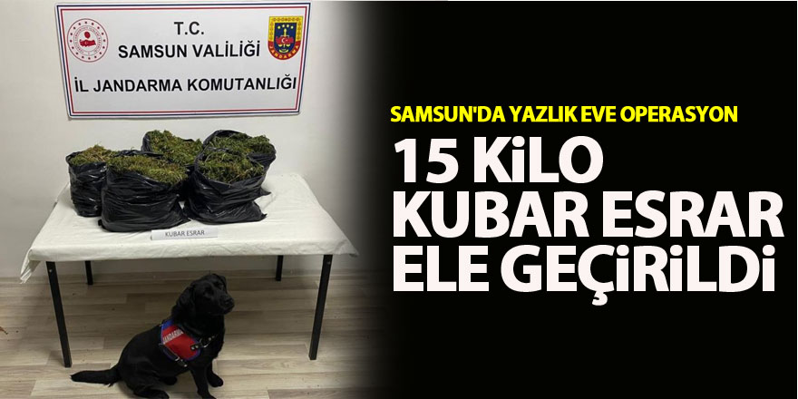 Samsun'da yazlık eve operasyon: 15 kilo kubar esrar ele geçirildi, 2 kişi yakalandı