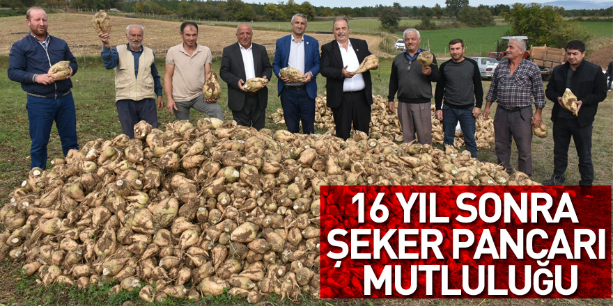 16 yıl sonra şeker pancarı mutluluğu Üretici şeker pancarı ekiyor!