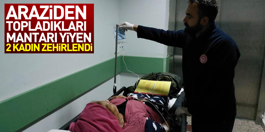 Araziden topladıkları mantarı yiyen 2 kadın zehirlendi