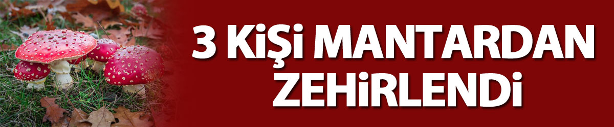 Samsun'da 3 kişi mantardan zehirlendi