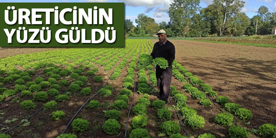 Karpuzdan zarar eden üreticinin yüzünü ıspanak güldürdü