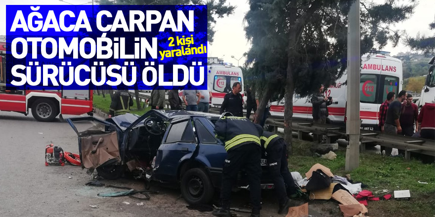 Samsun’da ağaca çarpan otomobilin sürücüsü öldü, 2 kişi yaralandı