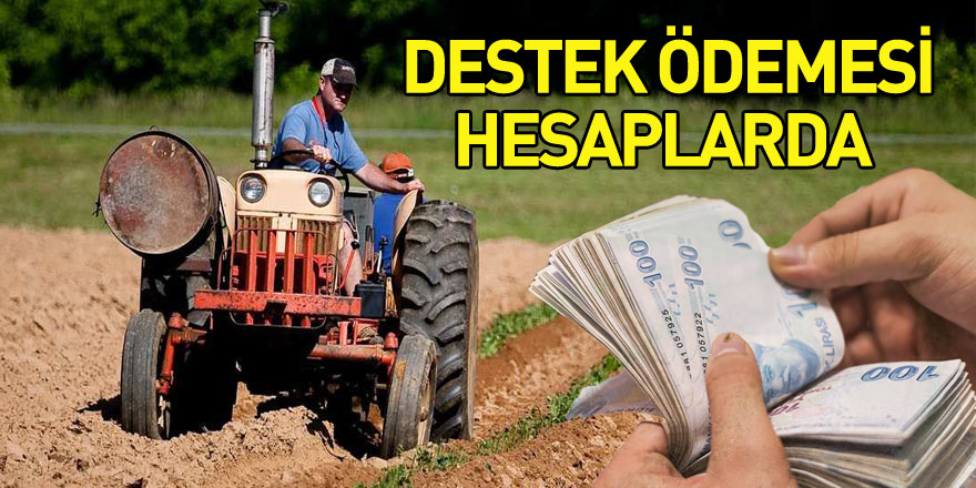 Samsun’da çiftçilerin destek ödemesi hesaplarına yatırıldı