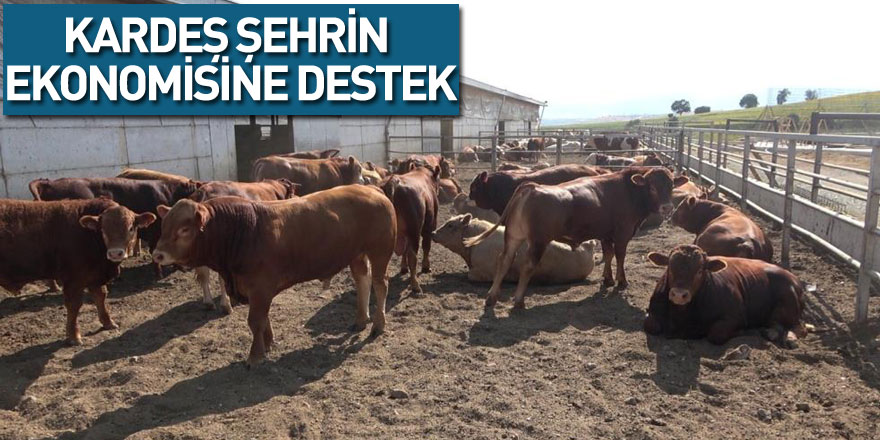 Samsun’dan kardeş şehrin ekonomisine destek