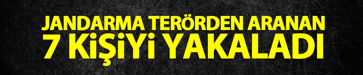 Samsun’da jandarma terörden aranan 7 kişiyi yakaladı