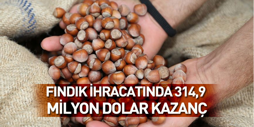 fındık ihracatında 314,9 milyon dolar kazanç