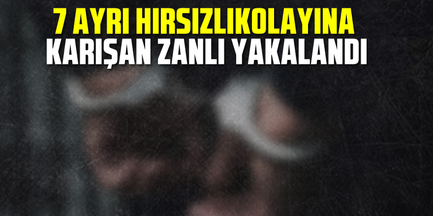 7 ayrı hırsızlık olayına karışan zanlı yakalandı