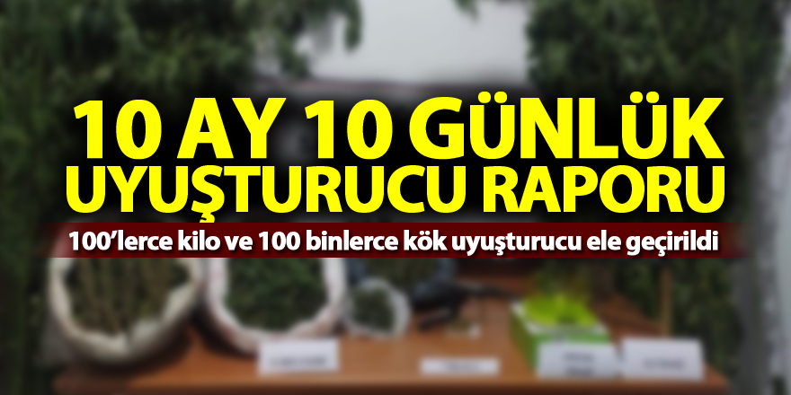 Samsun'un 10 ay 10 günlük uyuşturucu raporu: 100’lerce kilo ve 100 binlerce kök uyuşturucu ele geçirildi