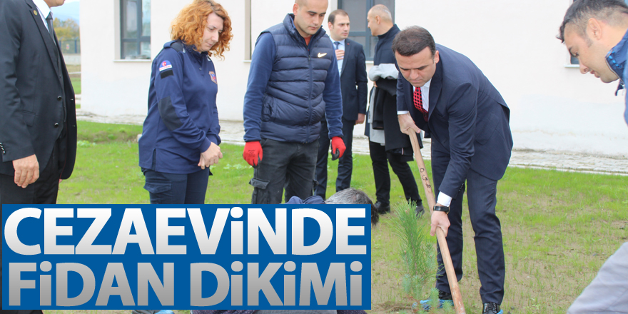 Cezaevinde Fidan Dikimi