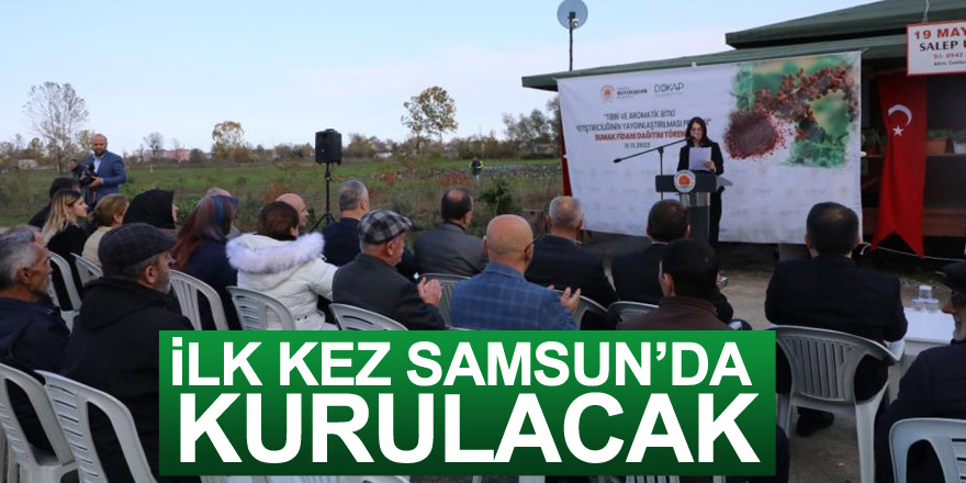 Karadeniz’in ilk ‘sumak’ bahçeleri Samsun’da kurulacak