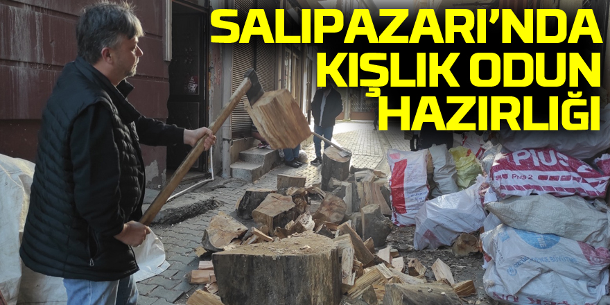 Salıpazarı’nda Kışlık Odun Hazırlığı